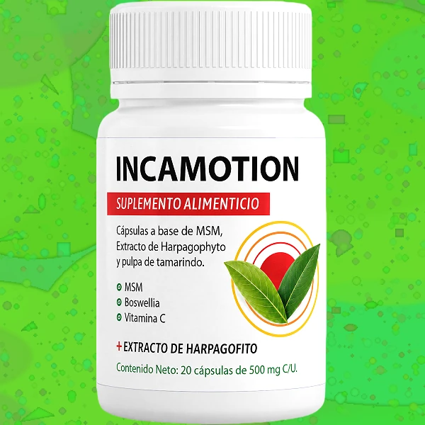 IncaMotion