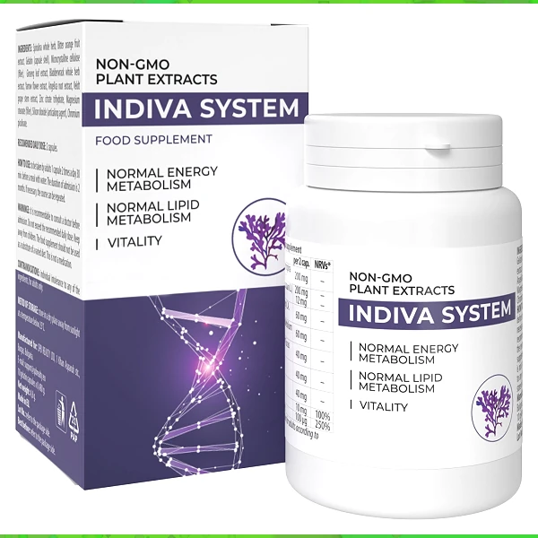 InDiva System